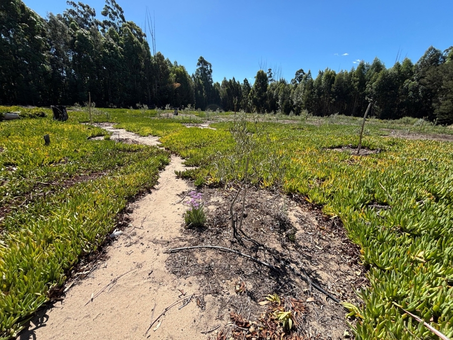 3 Bedroom Property for Sale in Twee Riviere Eastern Cape